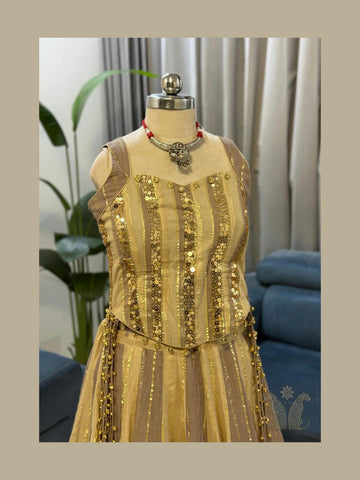 Sunehri Sitara Choli